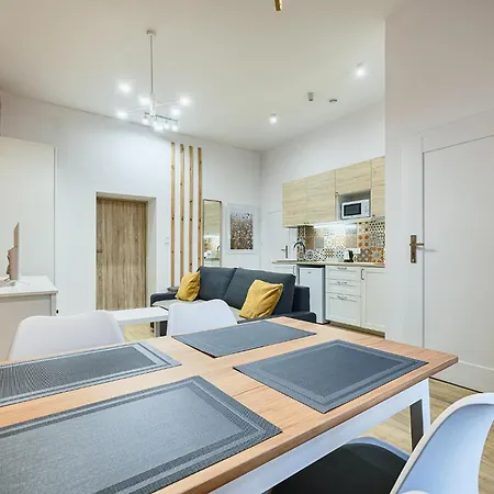 Delux 11 - Appartement Łódź