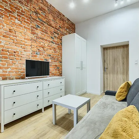 Apartment Delux 11 - Lodz